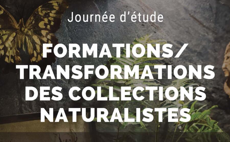 Formations/Transformations des collections naturalistes